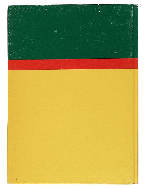 Dat vidas - Ellen Marit Guttorm - Lastenkirjat - 10105469732 - 1