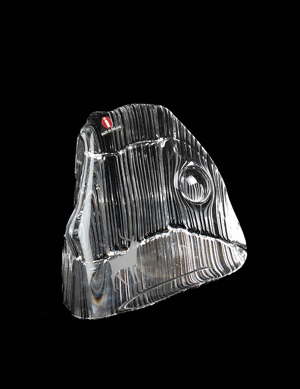 IITTALA Kuutamo Tunturilla lasipaino - Designsuosikit - 10105469969 - 1