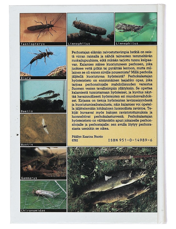 Perhokalastajan hyönteistieto - Rinne, Aki - Tietokirjat ja oppaat - 10105470903 - 1