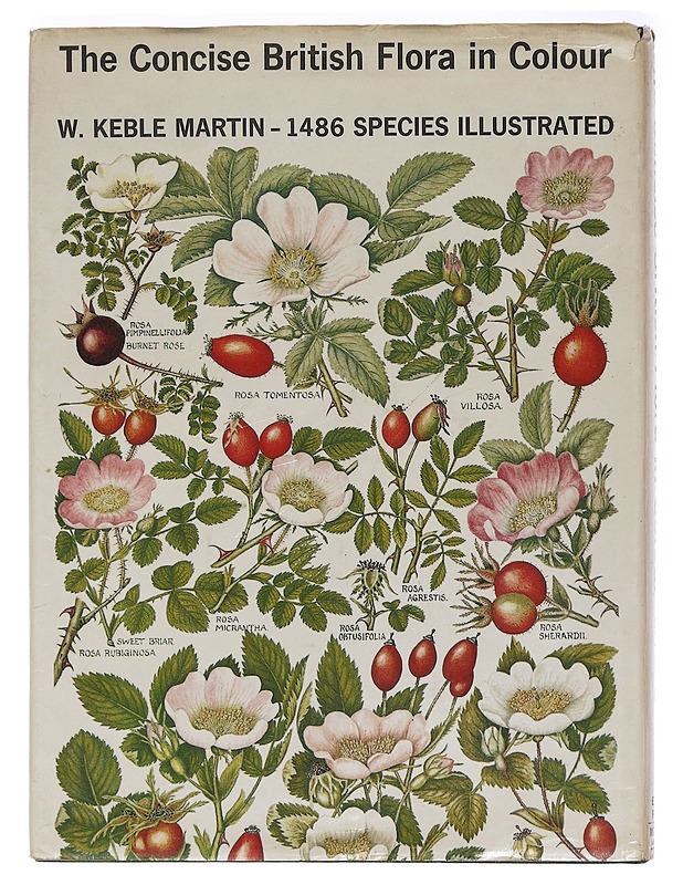 The concise british flora in colour - W. Keble martin - Lemmikki- ja luontokirjat - 10105471040 - 1