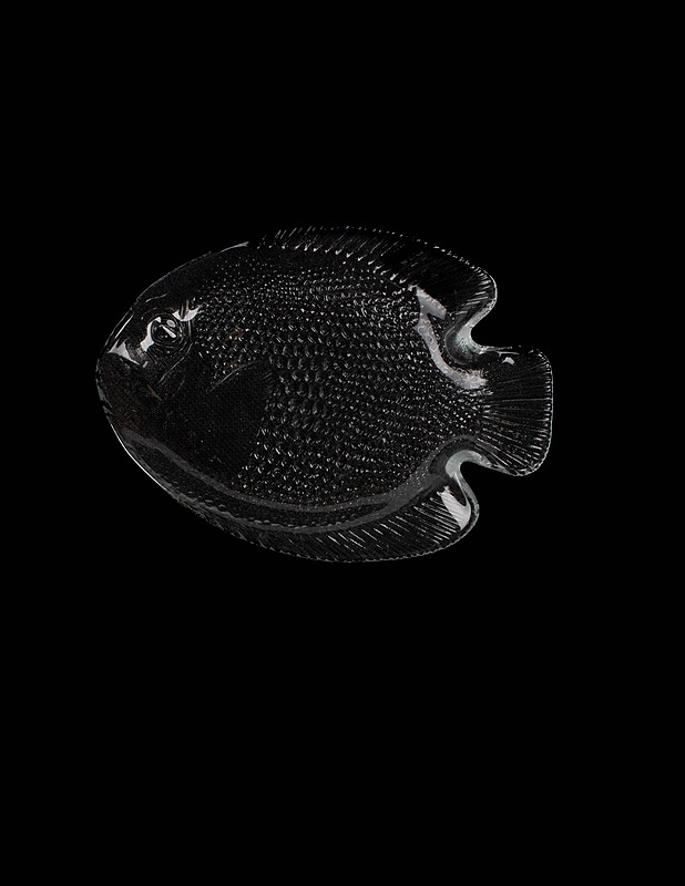 ARCOROC kalanmuotoinen lautanen, 8+1 kpl - Lautaset ja kulhot - 10105471075 - 4