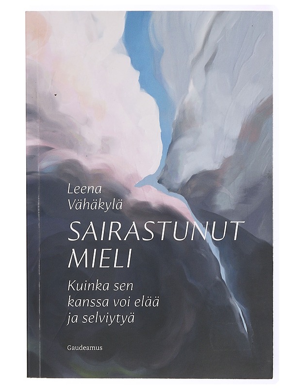 Sairastunut mieli : kuinka sen kanssa voi elää ja selviytyä - Leena Vähäkylä - Hyvinvointikirjat - 10105471194 - 0