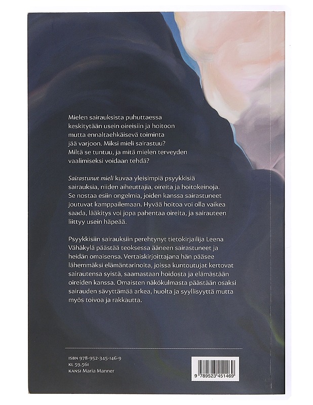 Sairastunut mieli : kuinka sen kanssa voi elää ja selviytyä - Leena Vähäkylä - Hyvinvointikirjat - 10105471194 - 1