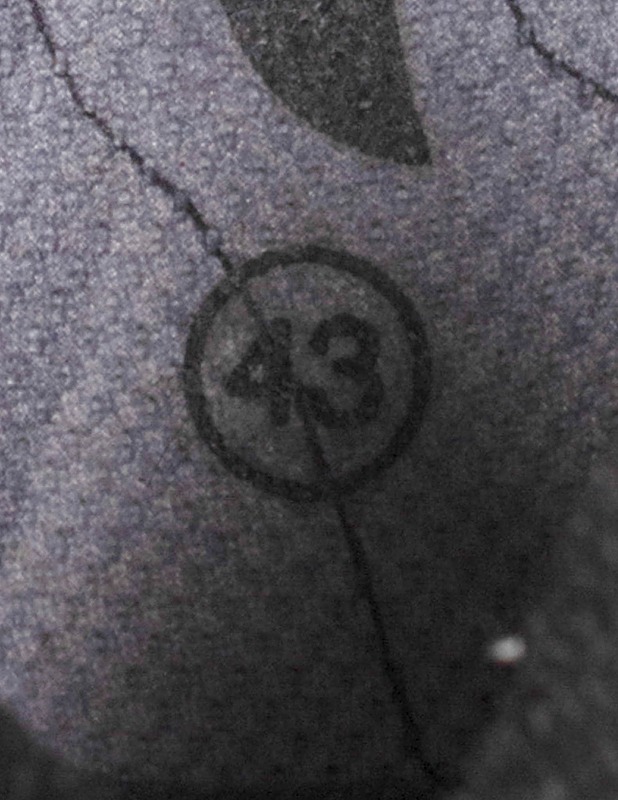 VIKING Gore-Tex lenkkarit, 43 - Miesten kävelykengät ja sandaalit - 10105471339 - 2