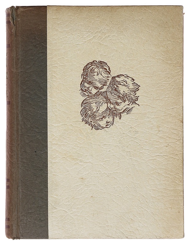 Lapsi maailmankirjallisuudessa - I. Havu - Romaanit ja novellit - 10105471576 - 0