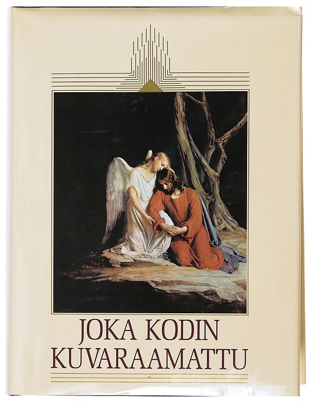 Raamattu : joka kodin kuvaraamattu - Historiakirjat - 10105471661 - 0