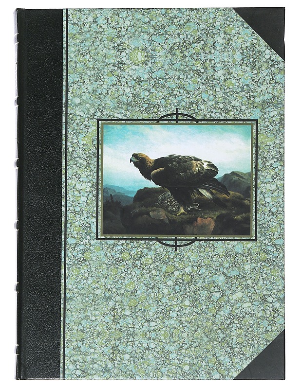 Korven kultainen kuningas - Von Wright - Lemmikki- ja luontokirjat - 10105471694 - 0