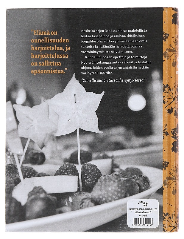 Viihdy omassa arjessasi : mielen ja kehon harjoituksia kaaoksen keskelle - Mustajoki, Noora - Tietokirjat ja oppaat - 10105471778 - 1