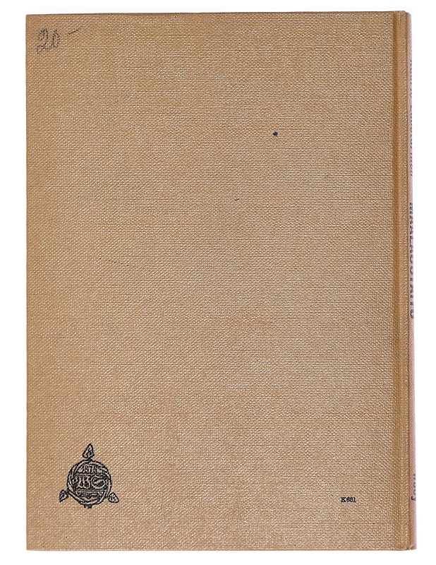 Maalaustaito - Kaarlo Luostarinen - Harrastekirjat - 10105471885 - 1