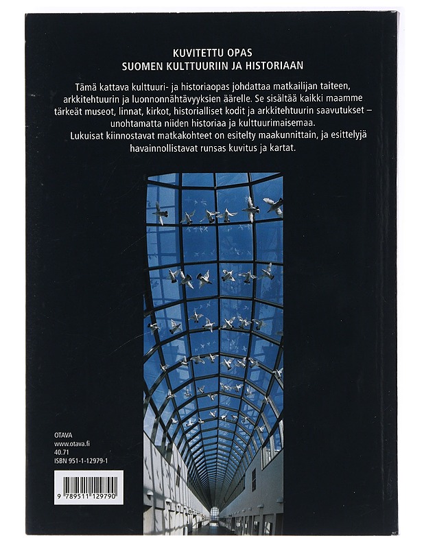 Suomen kulttuturinähtävyydet - Taide- ja kulttuurikirjat - 10105471950 - 1