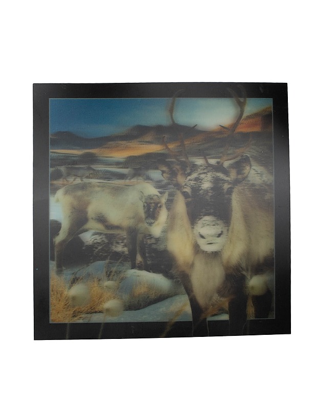 Poroaiheinen postikortti - Askartelu - 10105471963 - 0