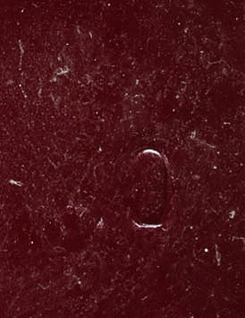 LIU JO saappaat, 40 - Naisten nilkkurit ja saappaat - 10105472285 - 2