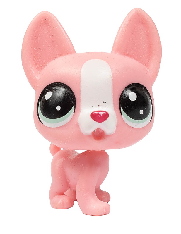 LITTLEST PET SHOP Boston terrieri #3644 - Lasten lelut - 10105472843 - 0