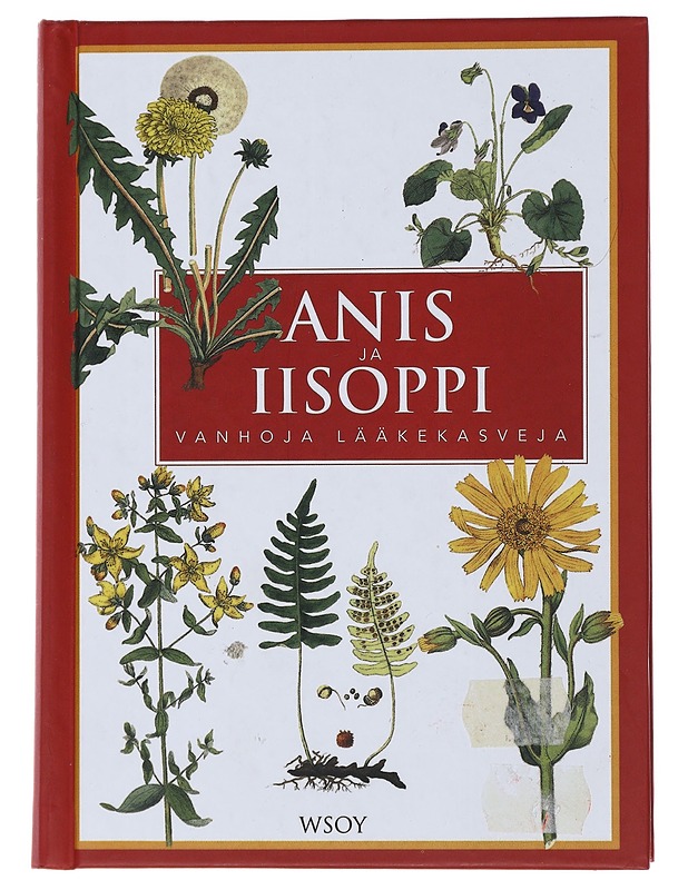 Anis ja iisoppi : vanhoja lääkekasveja - Bruun, Erik - Tietokirjat ja oppaat - 10105473783 - 0