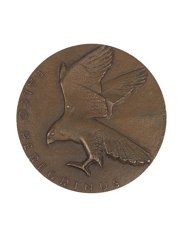 WWF Falco peregrinus mitali - Koriste-esineet - 10105473948 - 0