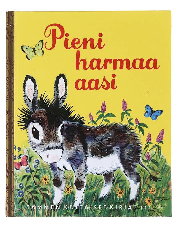 Pieni harmaa aasi - Lunt, Alice - Lastenkirjat - 10105474021 - 0