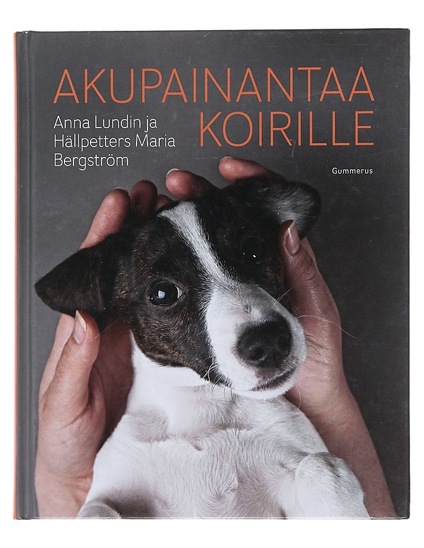 Akupainantaa koirille - Lundin, Anna - Lemmikki- ja luontokirjat - 10105474673 - 0