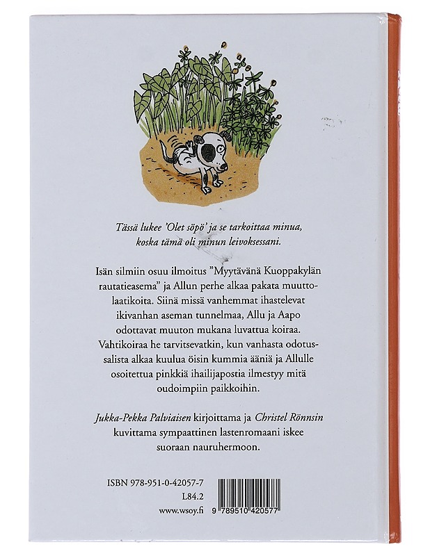 Allu ja salainen ihailija - Palviainen, Jukka-Pekka - Lastenkirjat - 10105474947 - 1