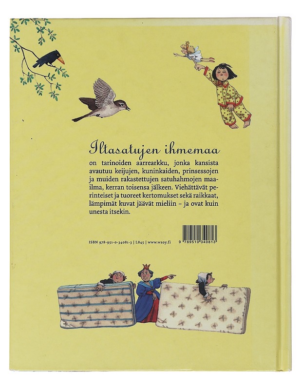 Iltasatujen ihmemaa - Hawthorn, Philip - Lastenkirjat - 10105475419 - 1