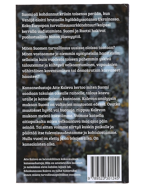 Hullu vuosi : teesejä paremman Suomen rakentamiseen - Atte Kaleva - Tietokirjat ja oppaat - 10105475966 - 1