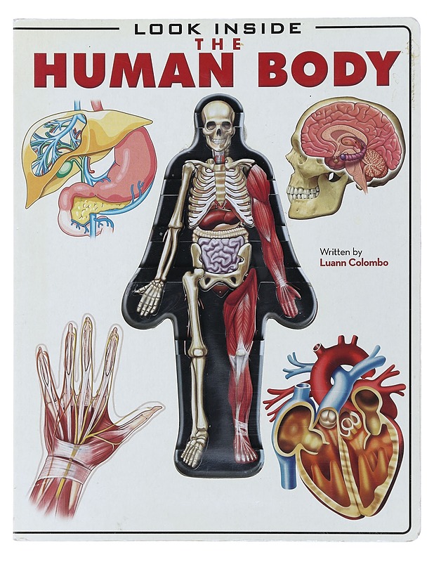 Look inside the human body - Luann Colombo - Lastenkirjat - 10105476982 - 0
