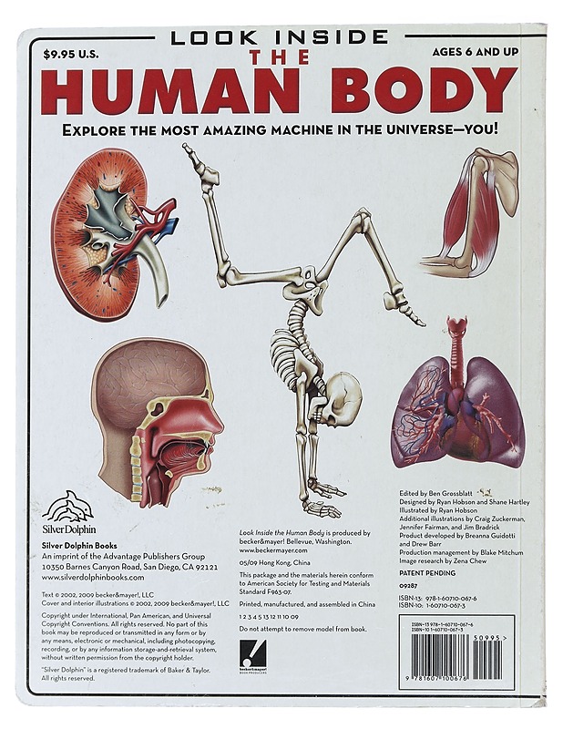 Look inside the human body - Luann Colombo - Lastenkirjat - 10105476982 - 1