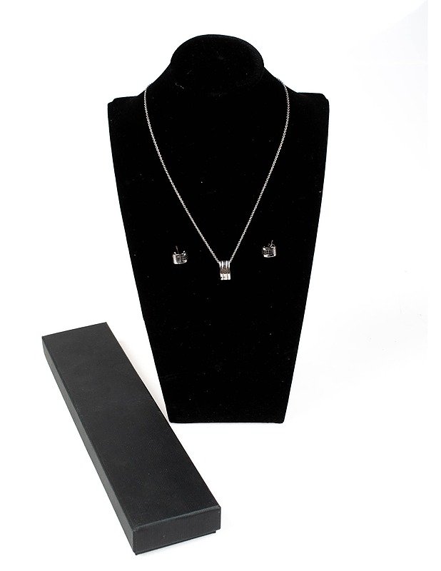 Hopeariipus ja korvakorut - Korut - 10105477061 - 0