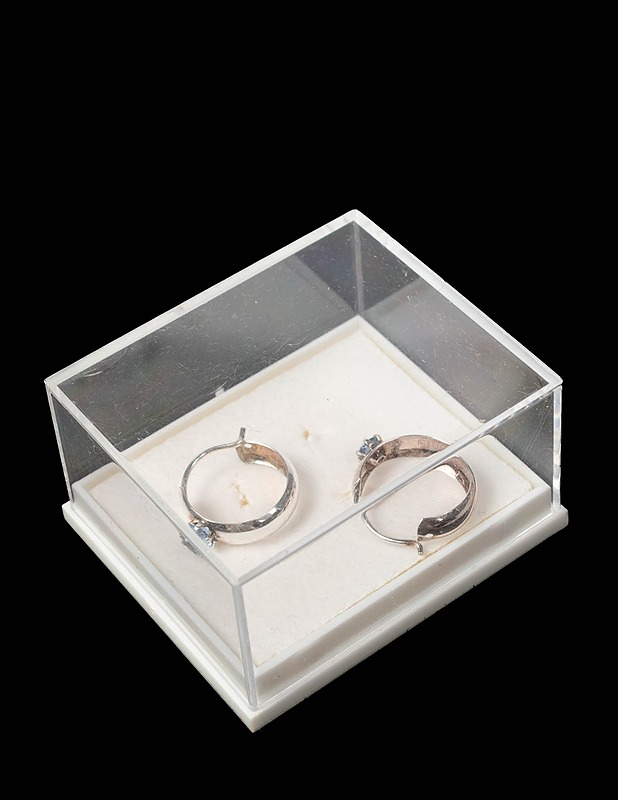 Hopea korvakorut kivellä - Korut - 10105477104 - 0