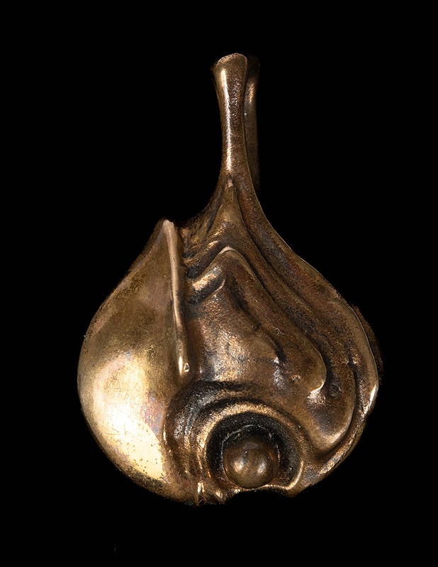 Pronssiriipus - Korut - 10105477144 - 0