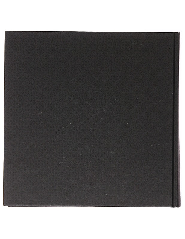 Gaijin : modernia aasialaista - Björck, Tomi - Ruokakirjat - 10105477299 - 1