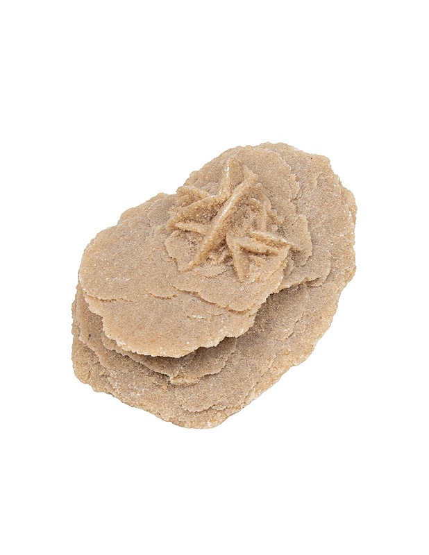 Aavikkoruusu - Muut sisustustavarat - 10105477320 - 0