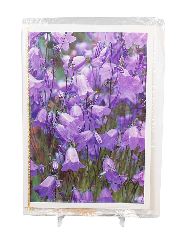 Onnitteluadressi ja kirjekuori - Askartelu - 10105477766 - 0