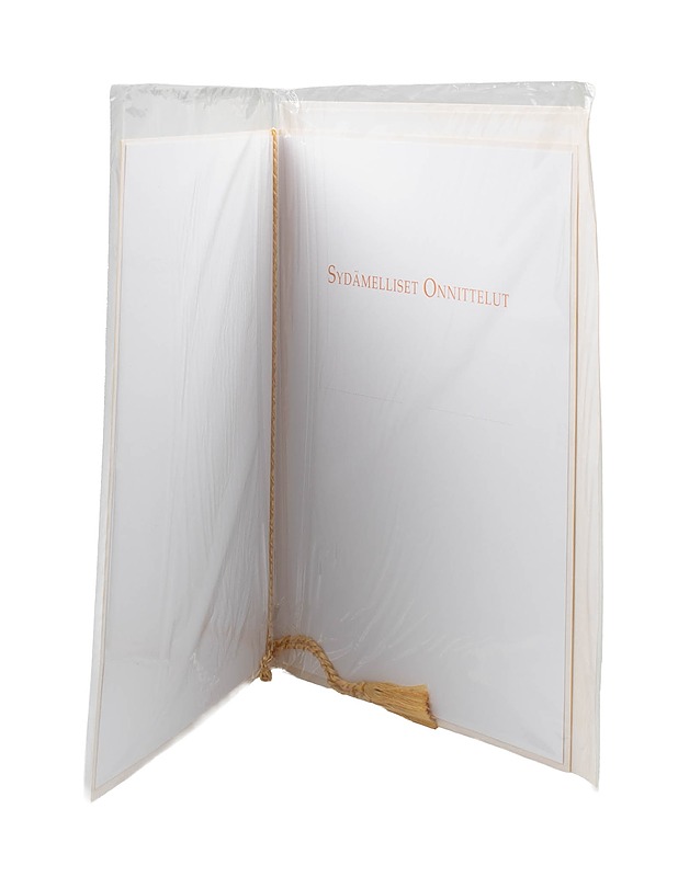 Onnitteluadressi ja kirjekuori - Askartelu - 10105477766 - 1