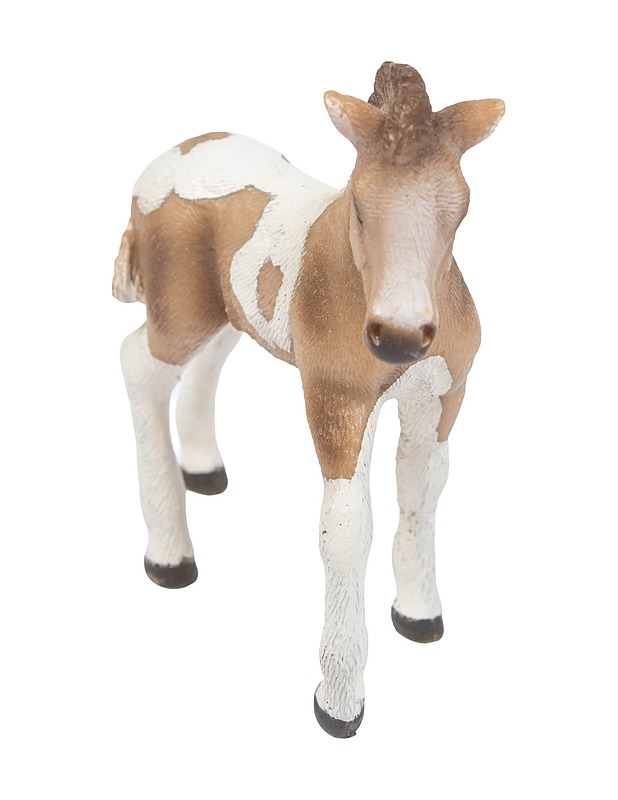 SCHLEICH Islanninhevosen varsa figuuri - Lasten lelut - 10105478167 - 1