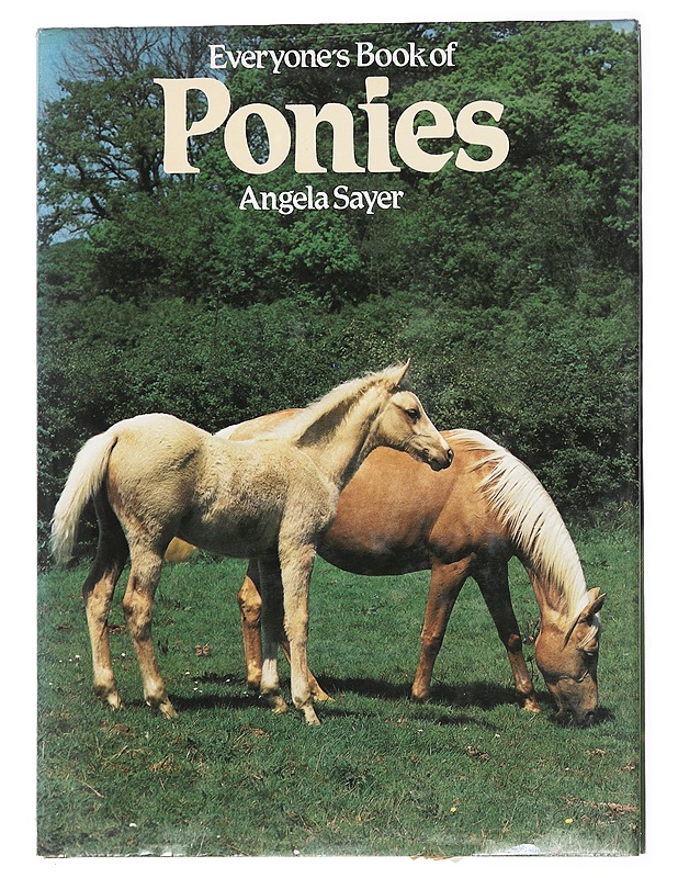 Everyone's Book of Ponies - Angela Sayer - Lemmikki- ja luontokirjat - 10105478641 - 0