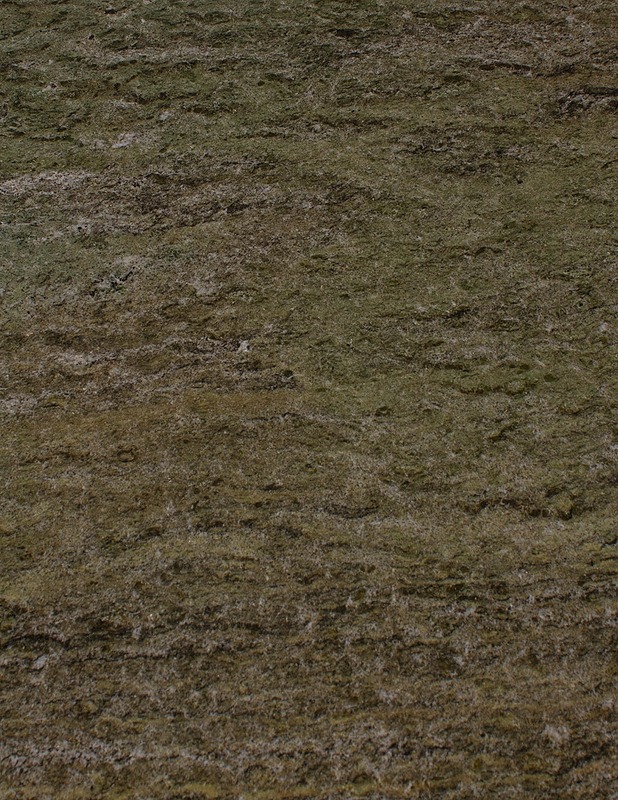 Antiikkilipasto - Hyllyt, lipastot ja arkut - 10105478860 - 7