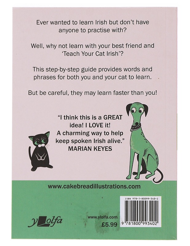 Teach Your Cat Irish - Anne Cakebread - Tietokirjat ja oppaat - 10105479038 - 1