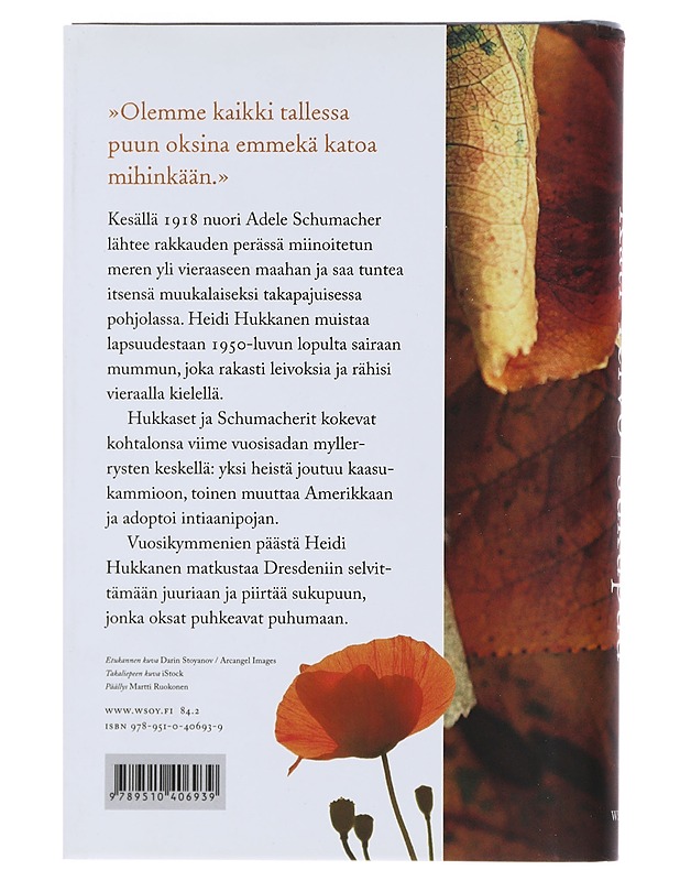 Sukupuu : romaani - Kati Tervo - Romaanit ja novellit - 10105479233 - 1