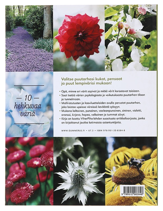 Värien lumoa puutarhaan / ainutlaatuinen opas kasvien valintaan - Aho, Anna - Kirja lahjaksi - 10105479294 - 1