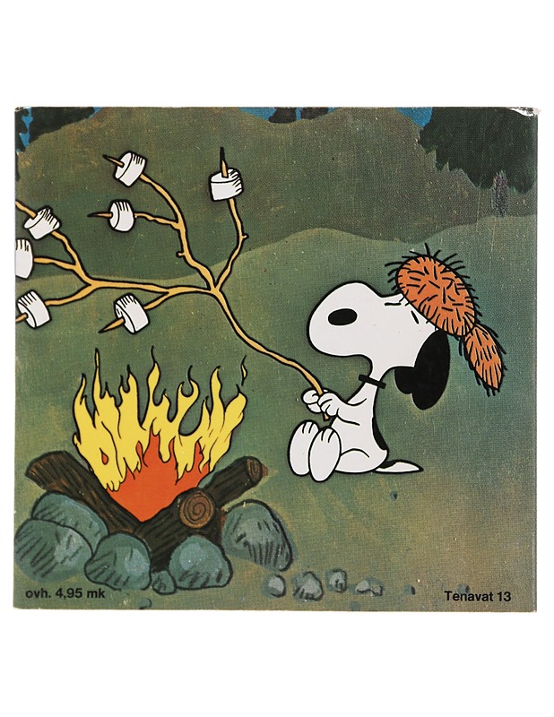 Kesä on mennyt, Jaska Jokunen - Charles M. Schulz - Lastenkirjat - 10105479633 - 1