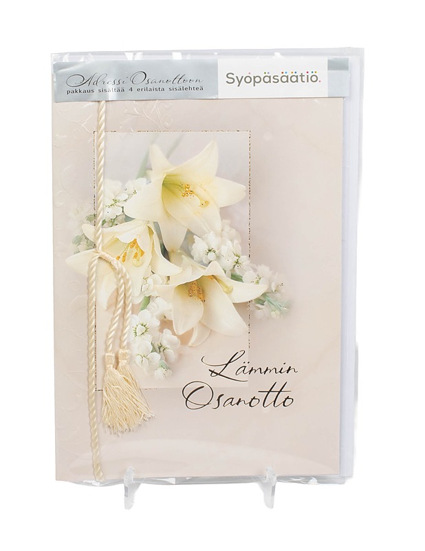 Adressi ja kirjekuori - Askartelu - 10105480297 - 0