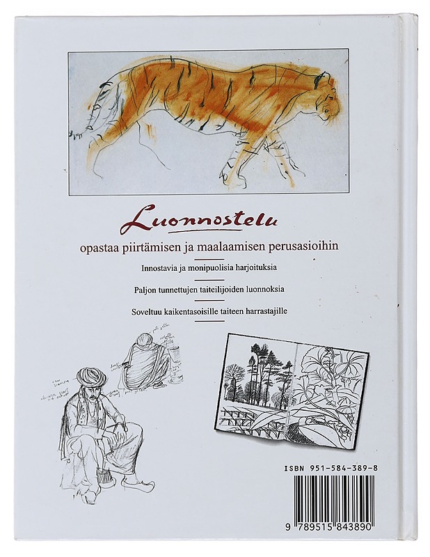 Luonnostelu - Martin, Judy - Tietokirjat ja oppaat - 10105480944 - 1