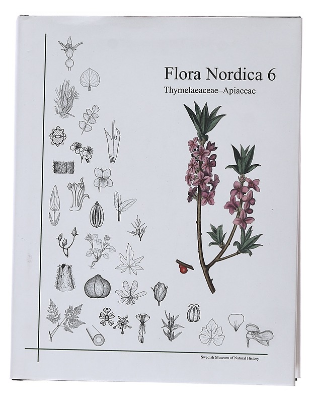 Flora Nordica 6 Thymelaeaceae - Apiacceae - Bengt Jonsell, Thomas Karlsson - Tietokirjat ja oppaat - 10105481970 - 0