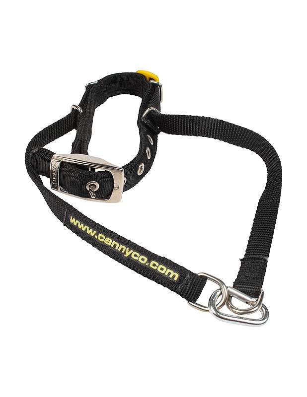 CANNY COLLAR vedonestopanta koirille, 1 - Lemmikkitarvikkeet - 10105482225 - 0