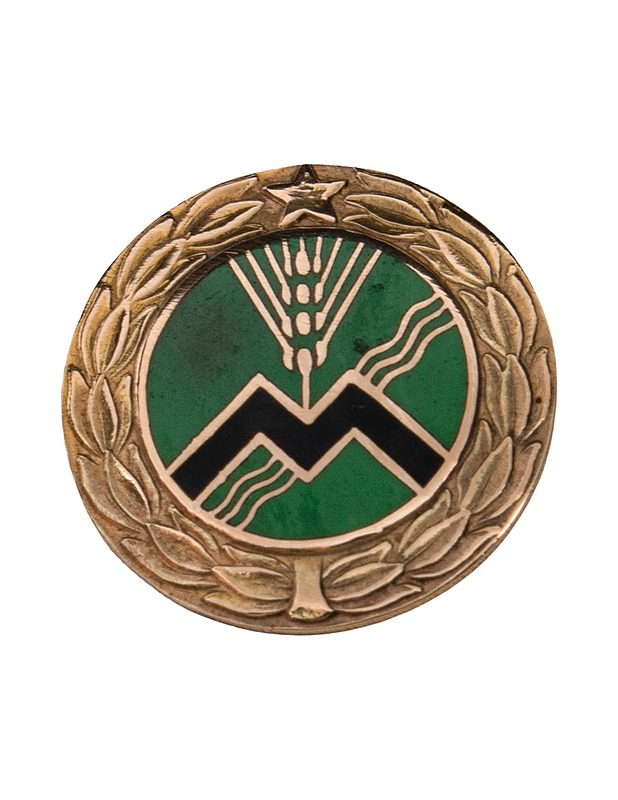 Maatalous ansiomerkki - Korut - 10105482819 - 0