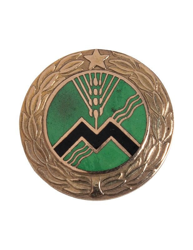 Maatalous ansiomerkki - Korut - 10105482819 - 1