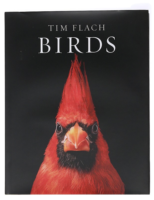 Birds - Tim Flach - Kirja lahjaksi - 10105482950 - 0