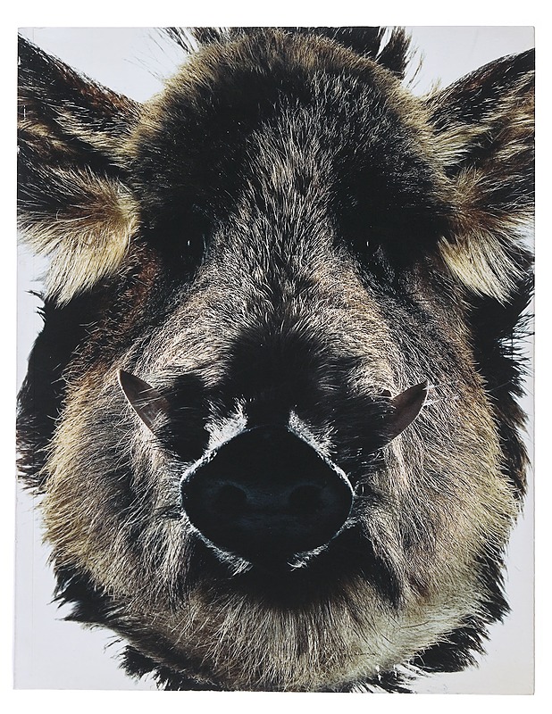 Revelations. The 11 Years of Taivas - Taide- ja kulttuurikirjat - 10105483219 - 0