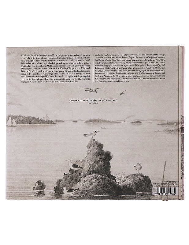 Finska vyer : 1840-talets storfurstendöme i bilder = Näkymiä Suomesta : 1840-luvun suuriruhtinaskunta kuvissa - Hovinheimo, Petja - Historiakirjat - 10105483751 - 1