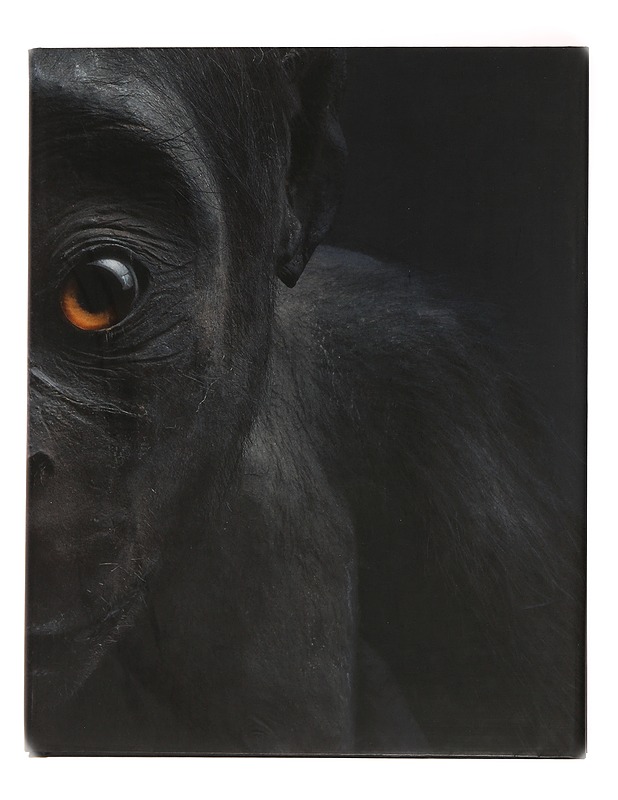 Echo - Perttu, Saksa - Taide- ja kulttuurikirjat - 10105484071 - 0